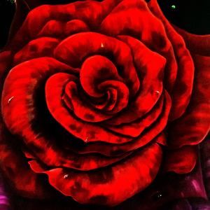 Meet your Posher, Nathaniel